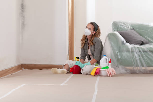 Reliable Black Mold Removal contractor in Brentwood, MD by WQB Mold Removal